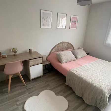 Apartment A 2 Pas Du Centre, 2 Chambres, 4 A 6 Personnes, Parking, Netflix *